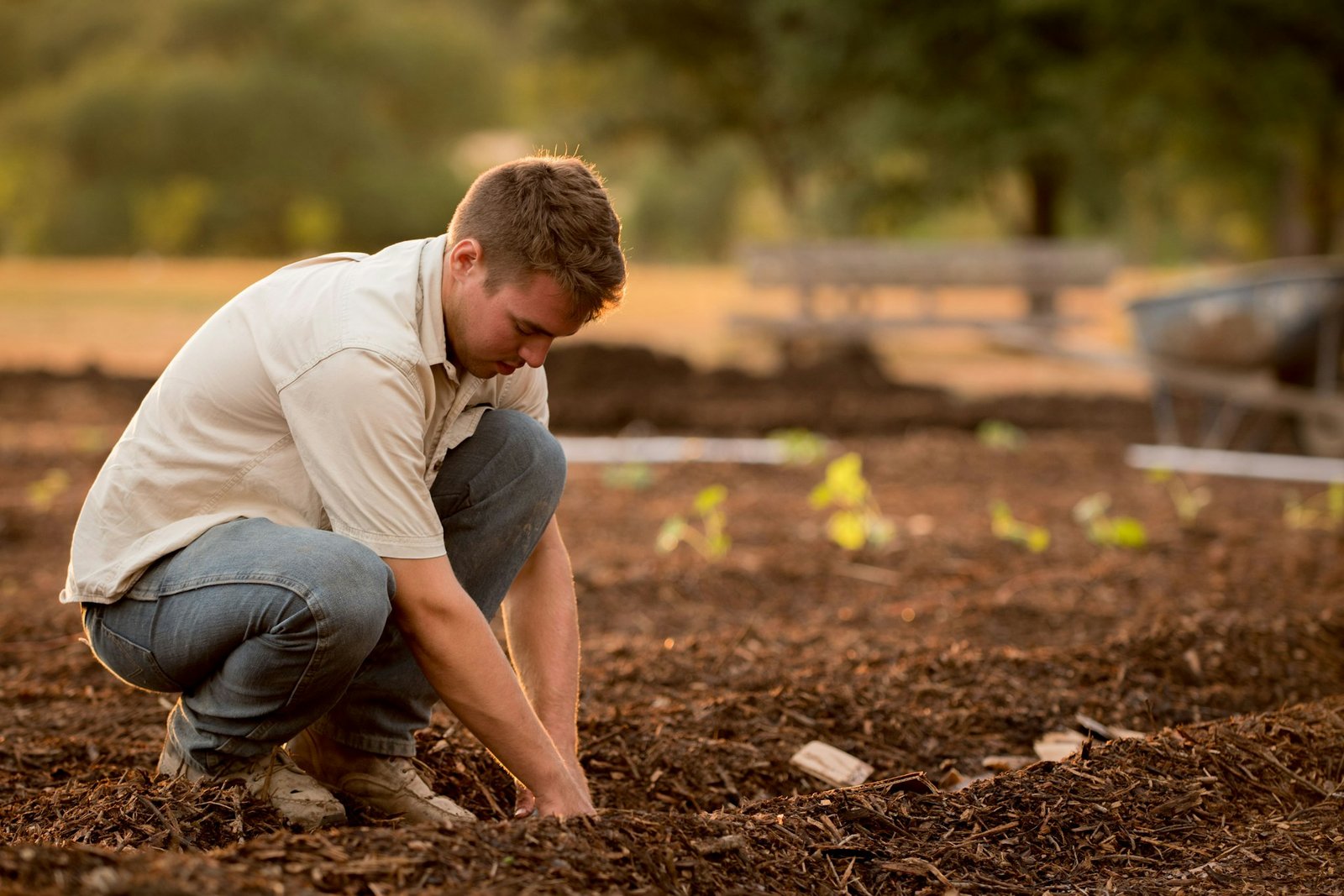 Grower in the field